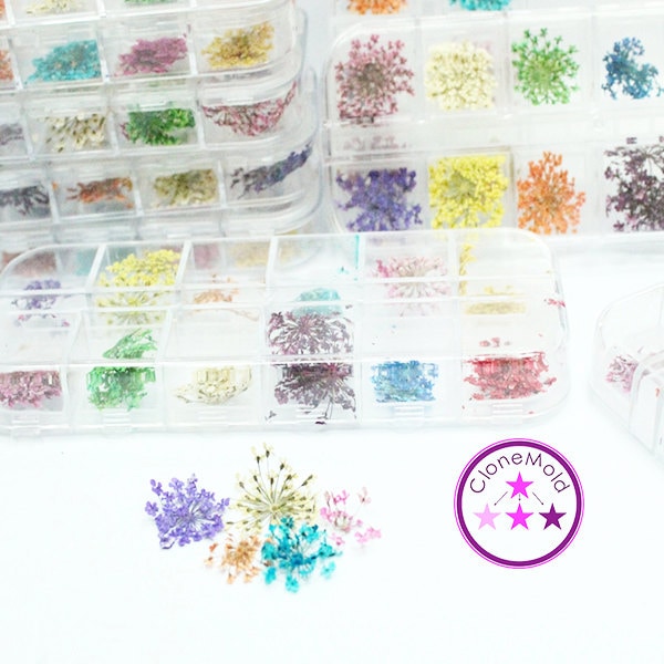 Mini Trockenblumen von Etsy - CloneMold