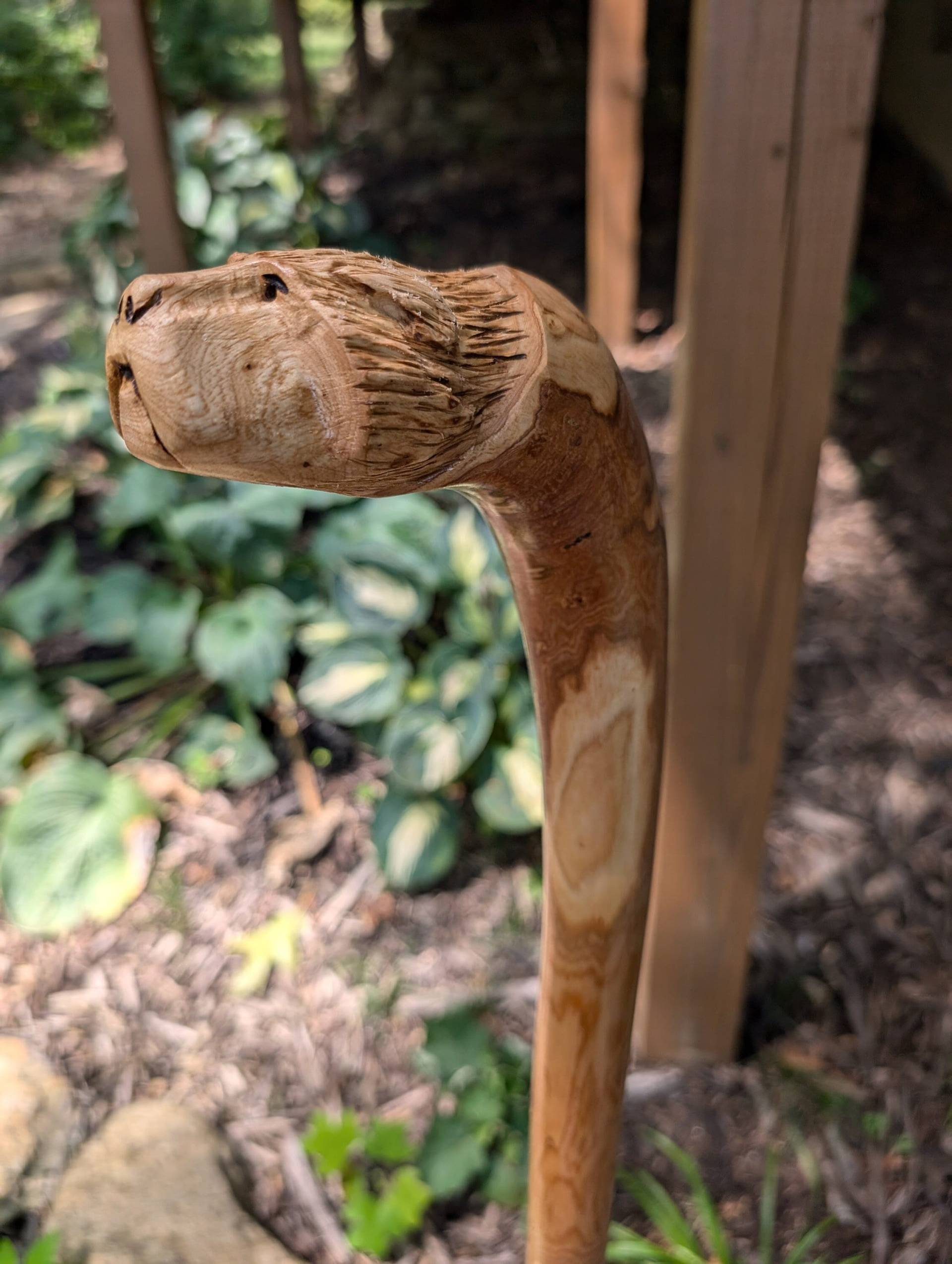 Gehstock/Geschnitzter Bärenstock Eschenwurzelstock von Etsy - CreationCarvings