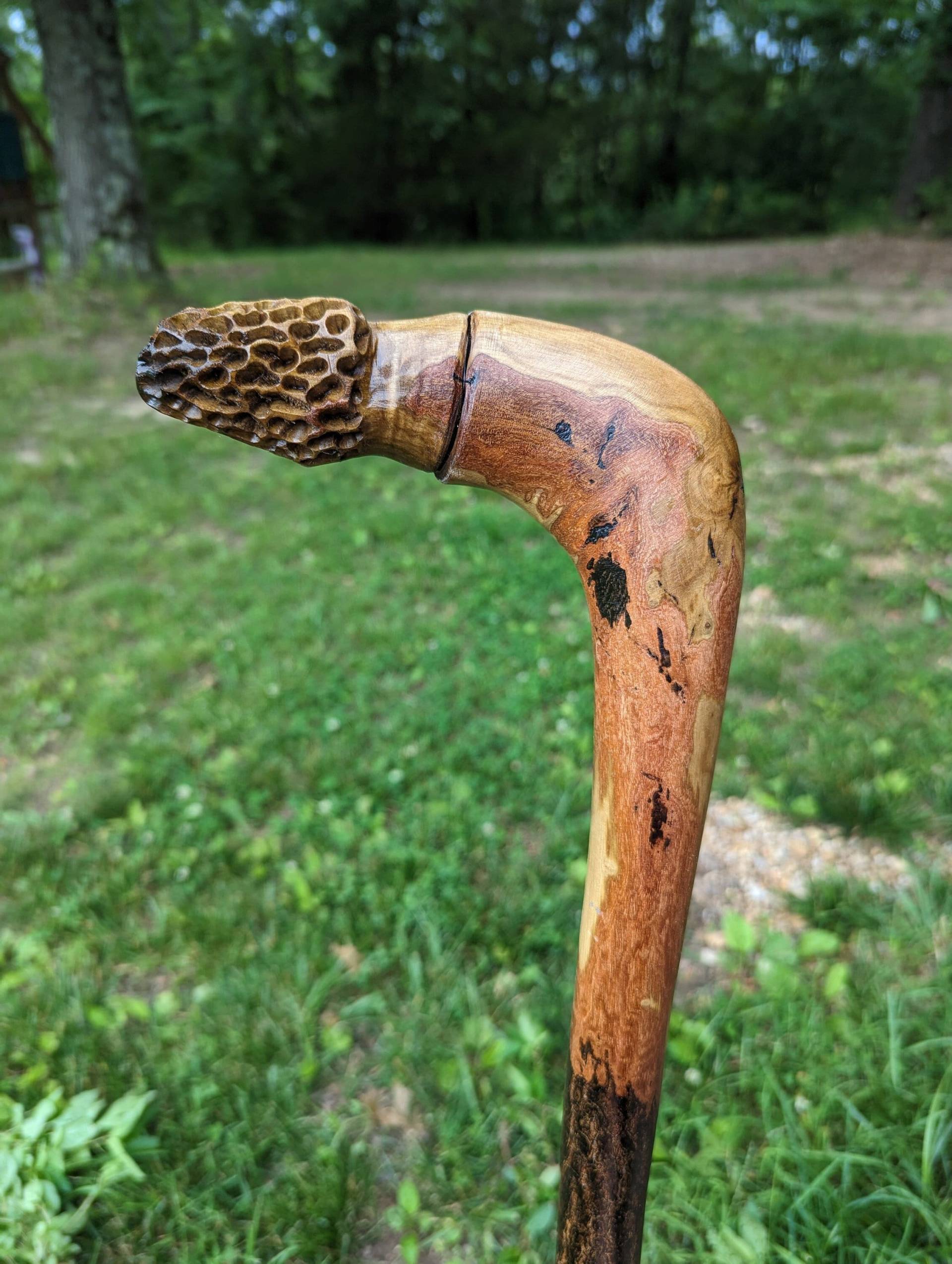 Gehstock - Geschnitzte Morchel Pilz Wurzelstock von Etsy - CreationCarvings