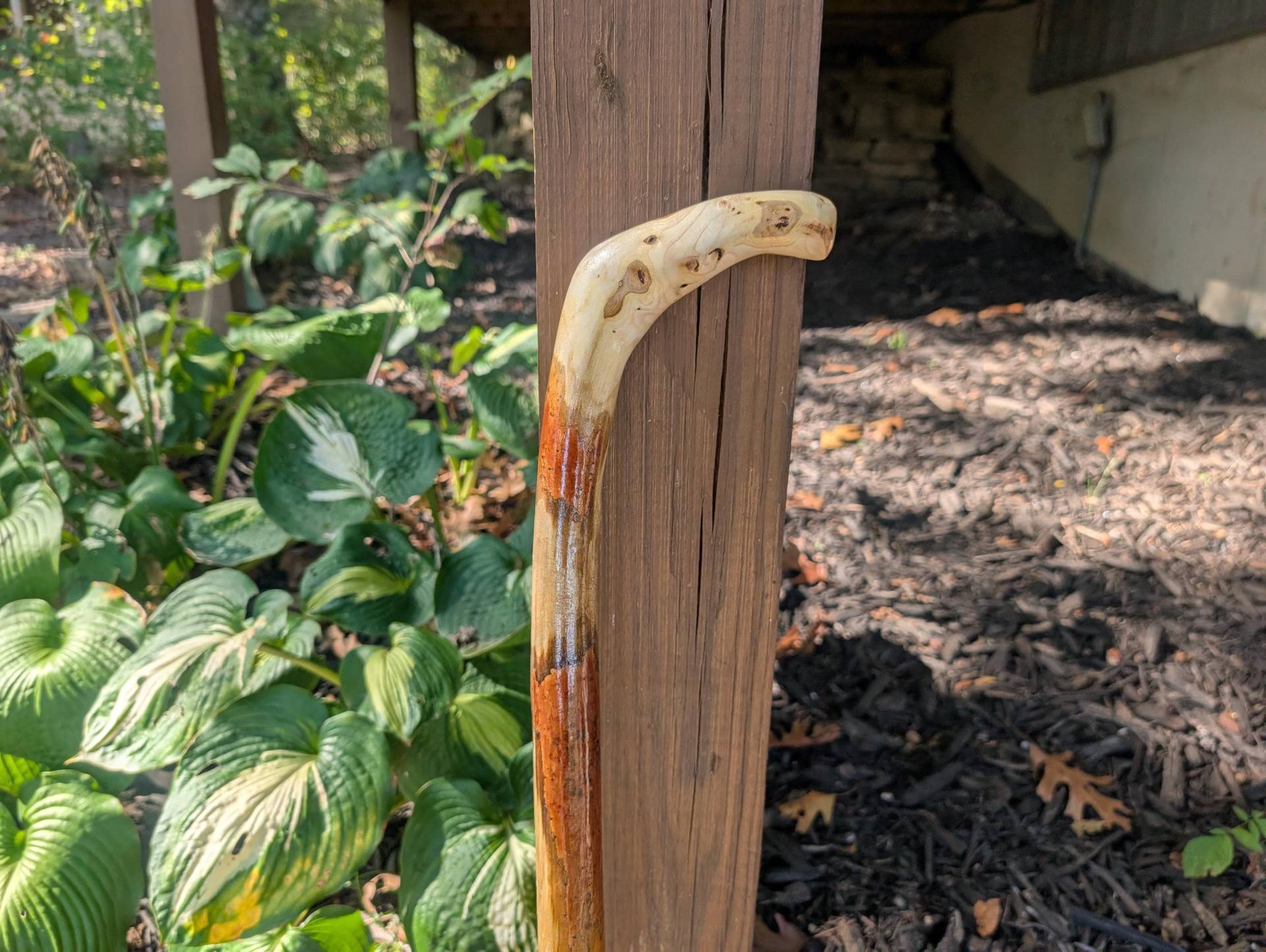 Schlichte Gehstock, Naturstock Aus Essigbaumwurzel 92cm von Etsy - CreationCarvings