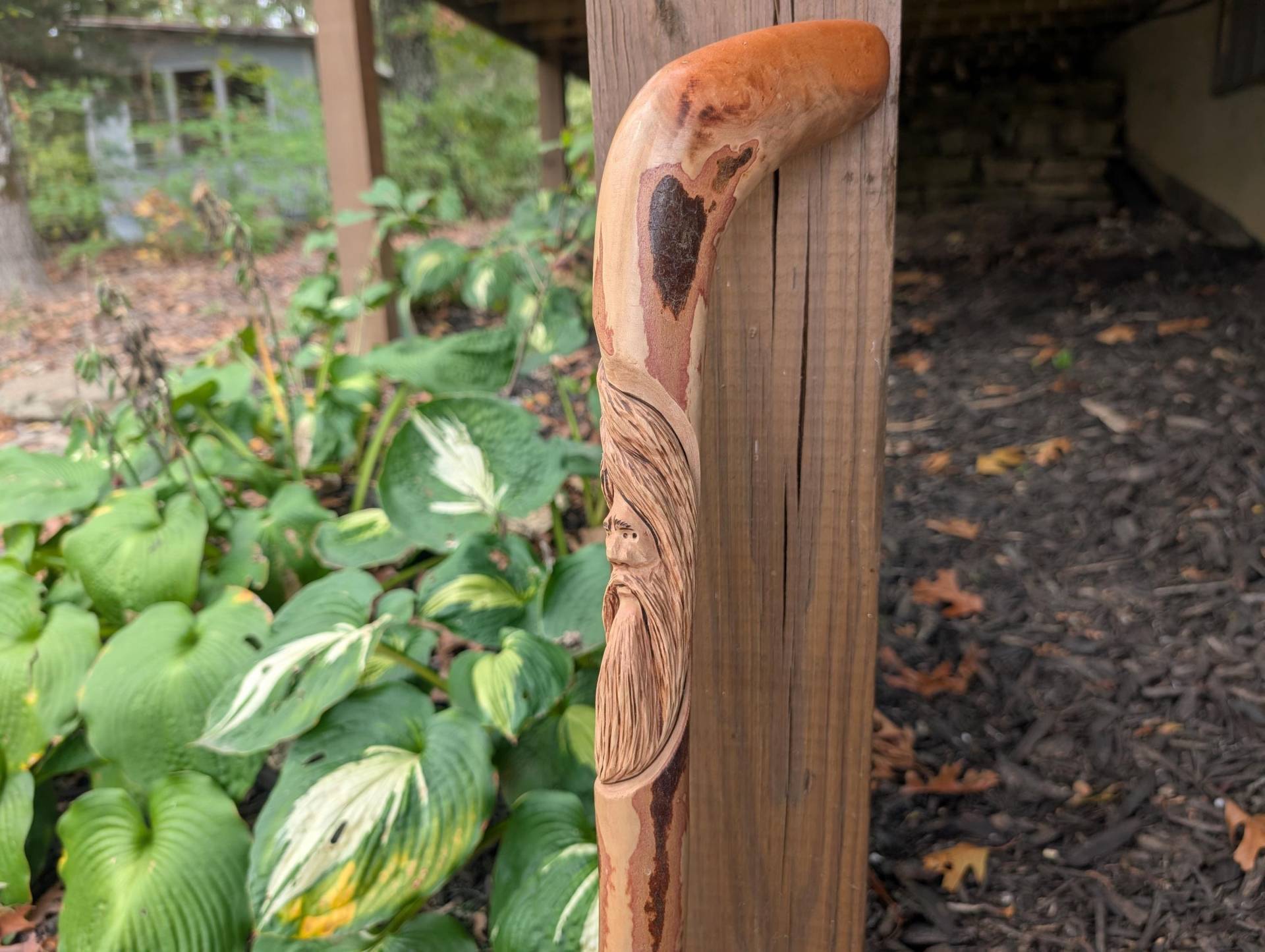 Wood Spirit Geschnitzte Gehstock, Hartriegel-Wurzelstock Mit Schnitzerei Von Creation Carvings Aus Den Usa von Etsy - CreationCarvings