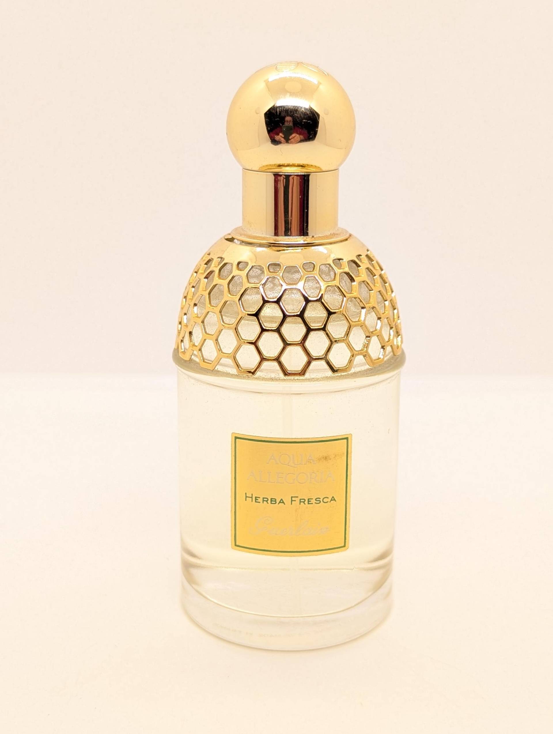 Guerlain Aqua Allegoria Herba Fresca | Eau De Toilette Vaporisateur Spray 75 Ml Guerlain Aqua Allegoria Herba Fresca | Eau De Toilette Vaporisateur Spray 75 Ml von Etsy - DerAusstatter
