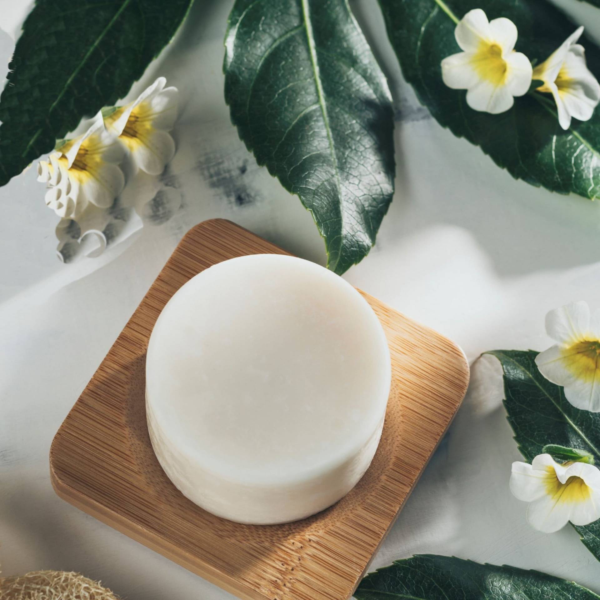 Fester Conditioner | Haar Spülung Feste Haarkur Gegen Spliss Balsam 70G 100 % Vegan Plastikfrei, Naturkosmetik Fester Conditioner | Haar Spülung Feste Haarkur Gegen Spliss Balsam 70G 100 % Vegan Plastikfrei, Naturkosmetik von Etsy - Duschkind