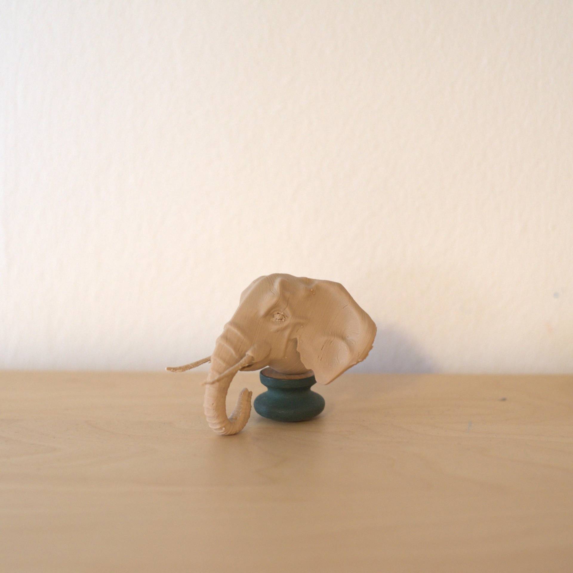 Elefantenkopf Topper | Zubehör Für Gehhilfe, Gehstock, Krücken Gehstock-Design Addon Gehhilfe Elefantenkopf Topper | Zubehör Für Gehhilfe, Gehstock, Krücken Gehstock-Design Addon Gehhilfe von Etsy - EigenArt3DPrint