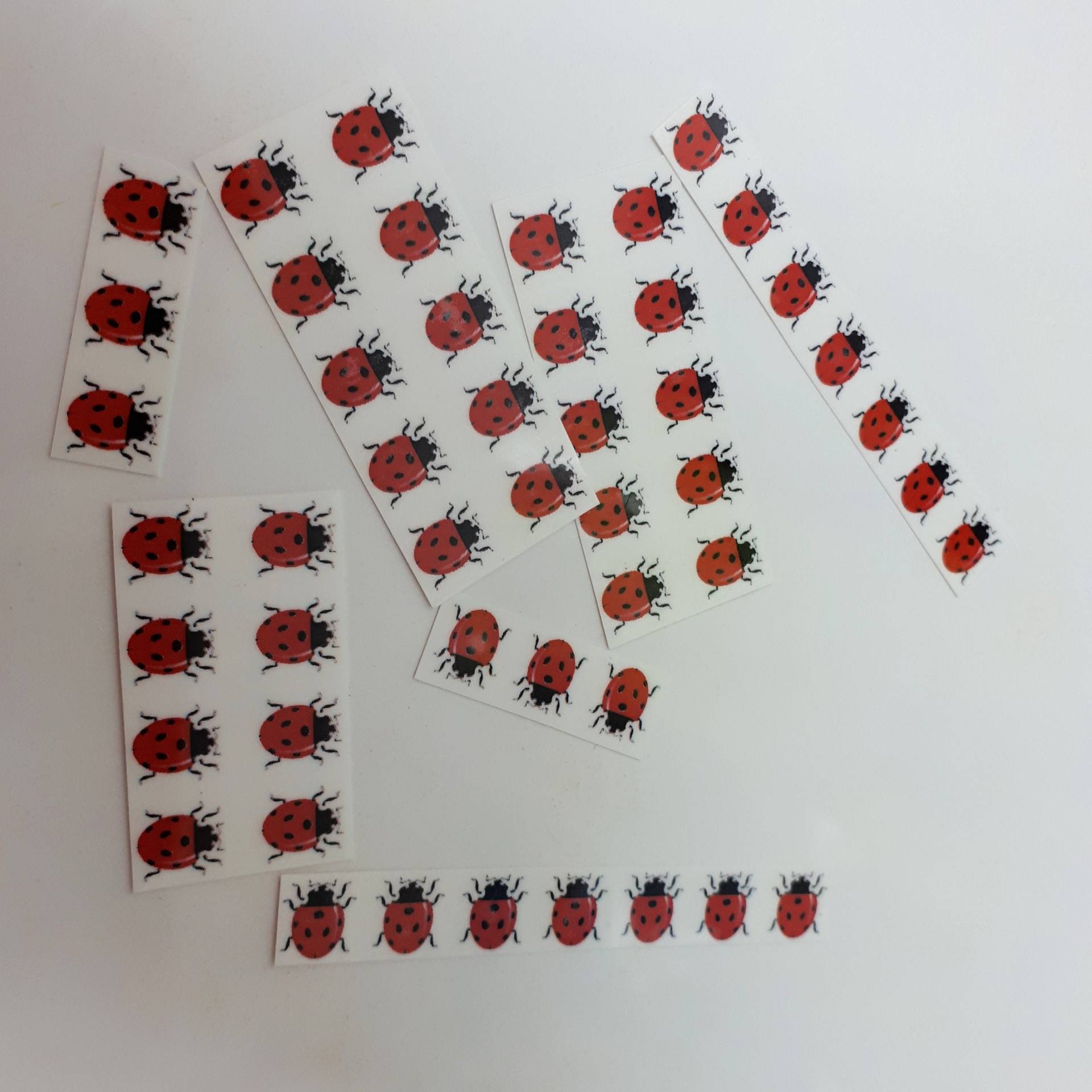 50 Marienkäfer-Tattoos/Miniatur-Tattoos Temporäre Tattoos Tattoo Fake-Tattoo Schwarz Und Rot Marienkäfer 50 Marienkäfer-Tattoos/Miniatur-Tattoos Temporäre Tattoos Tattoo Fake-Tattoo Schwarz Und Rot Marienkäfer von Etsy - ElyZeSHOP