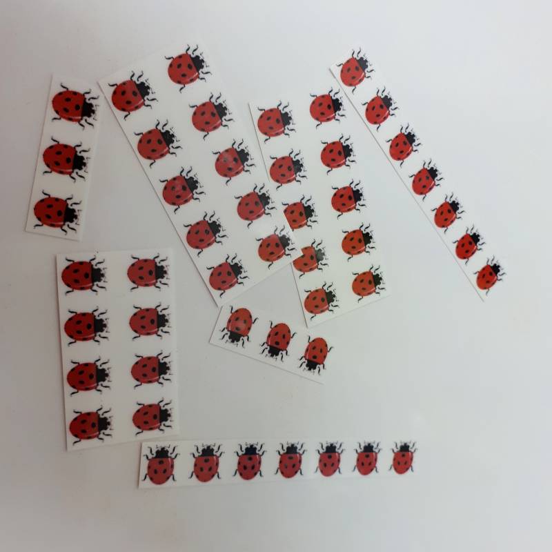 50 Marienkäfer-Tattoos/Miniatur-Tattoos Temporäre Tattoos Tattoo Fake-Tattoo Schwarz Und Rot Marienkäfer von Etsy - ElyZeSHOP