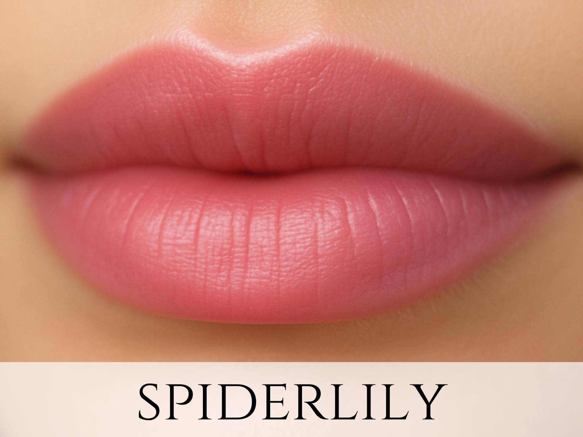 Veganes Lippenstift Muster - "Spiderlily" Lachsrosa/Pfirsichfarbenes Mineral Make-Up." von Etsy - Etherealle