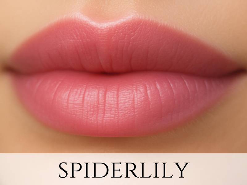 Veganes Lippenstift Muster - "Spiderlily" Lachsrosa/Pfirsichfarbenes Mineral Make-Up." von Etsy - Etherealle