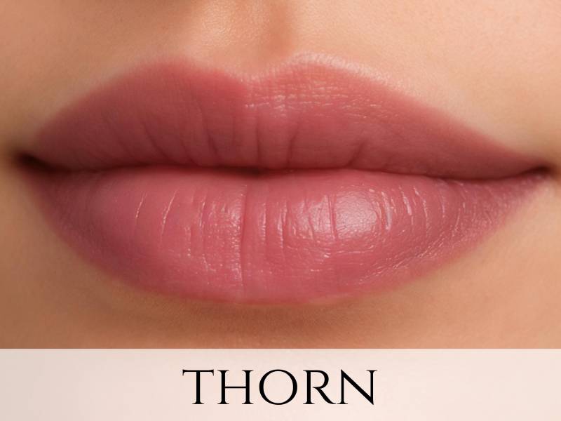 Veganes Pflaumen-Lippen- & Wangencreme-Rouge-Muster - "Thorn" Veganes Pflaumen-Lippen- & Wangencreme-Rouge-Muster - "Thorn" von Etsy - Etherealle