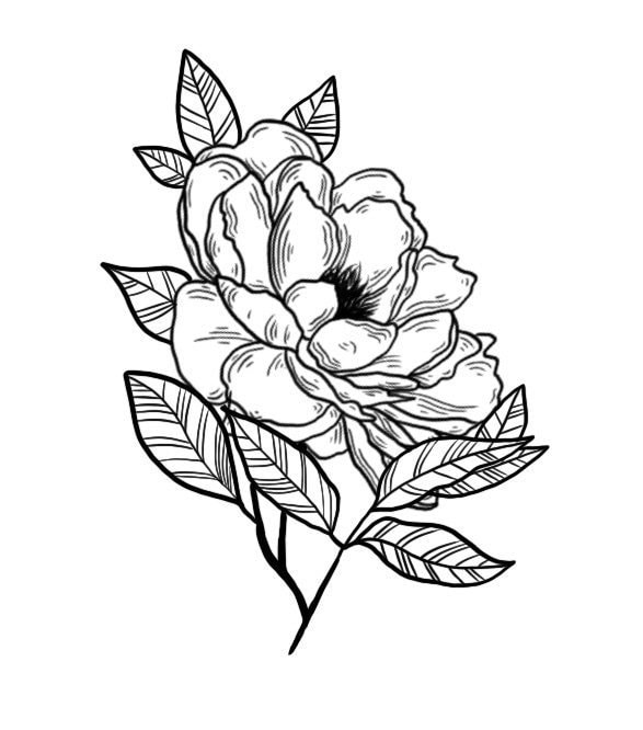 Pfingstrose - Temporäres Tattoo Pfingstrose - Temporäres Tattoo von Etsy - FleetingTattoo