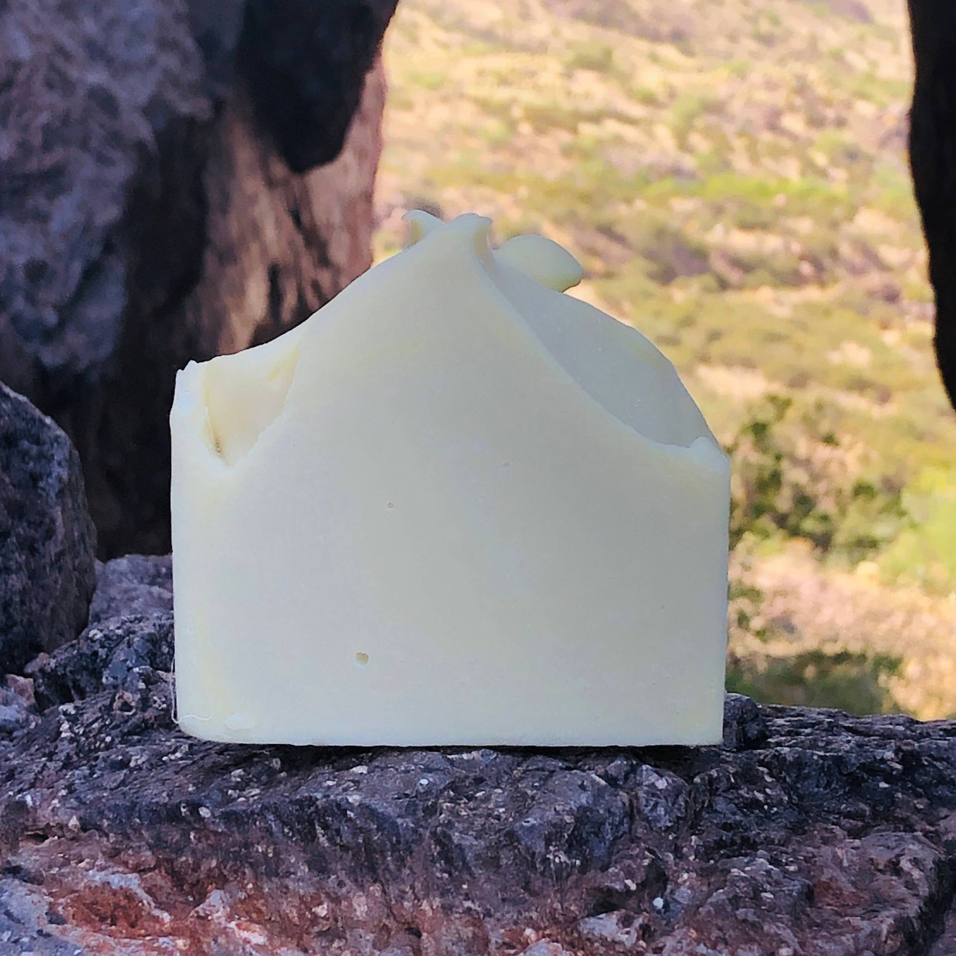 Cactus Kaltprozess Seife Cactus Kaltprozess Seife von Etsy - FourPeaksSoapery
