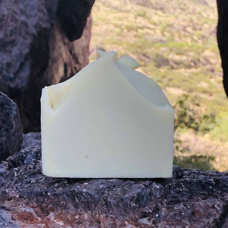 Cactus Kaltprozess Seife von Etsy - FourPeaksSoapery