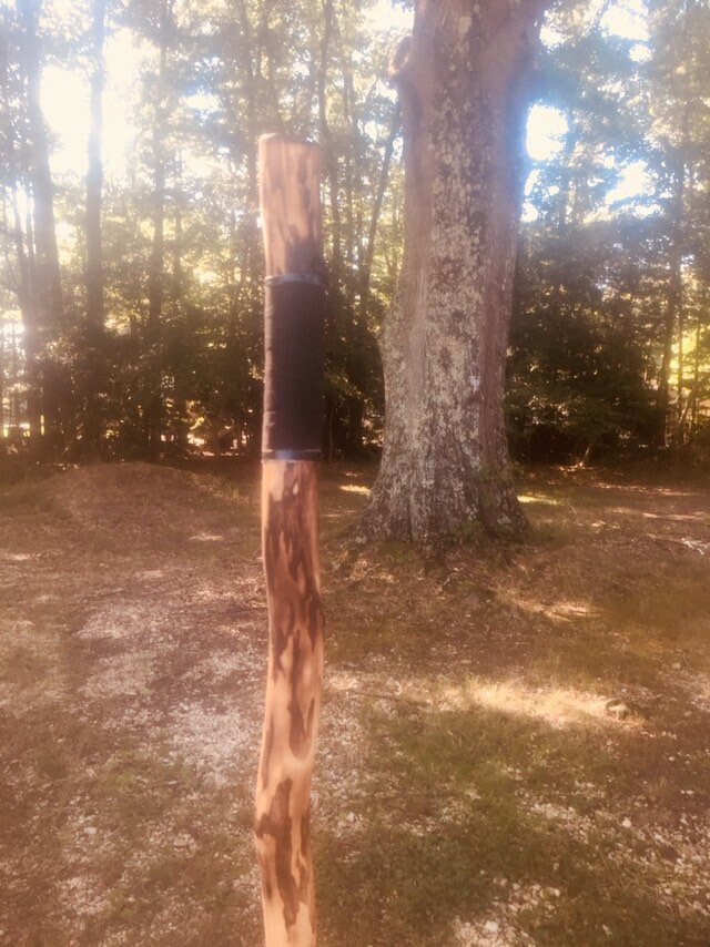 Spazierstock Spazierstock von Etsy - HandcarvedStix