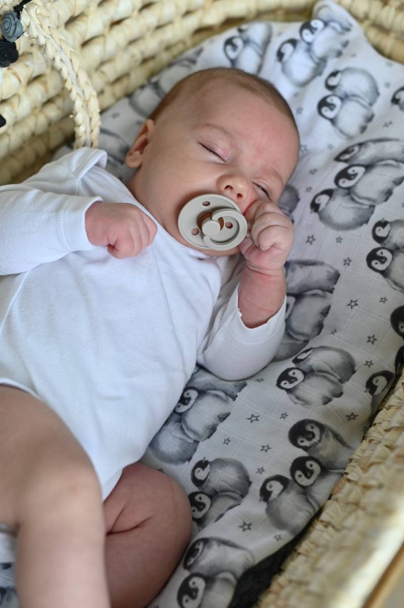 Pinguin Musselin Swaddle Decke Bio-Baumwoll-Bambus-Musselin von Etsy - HappyBabyEU