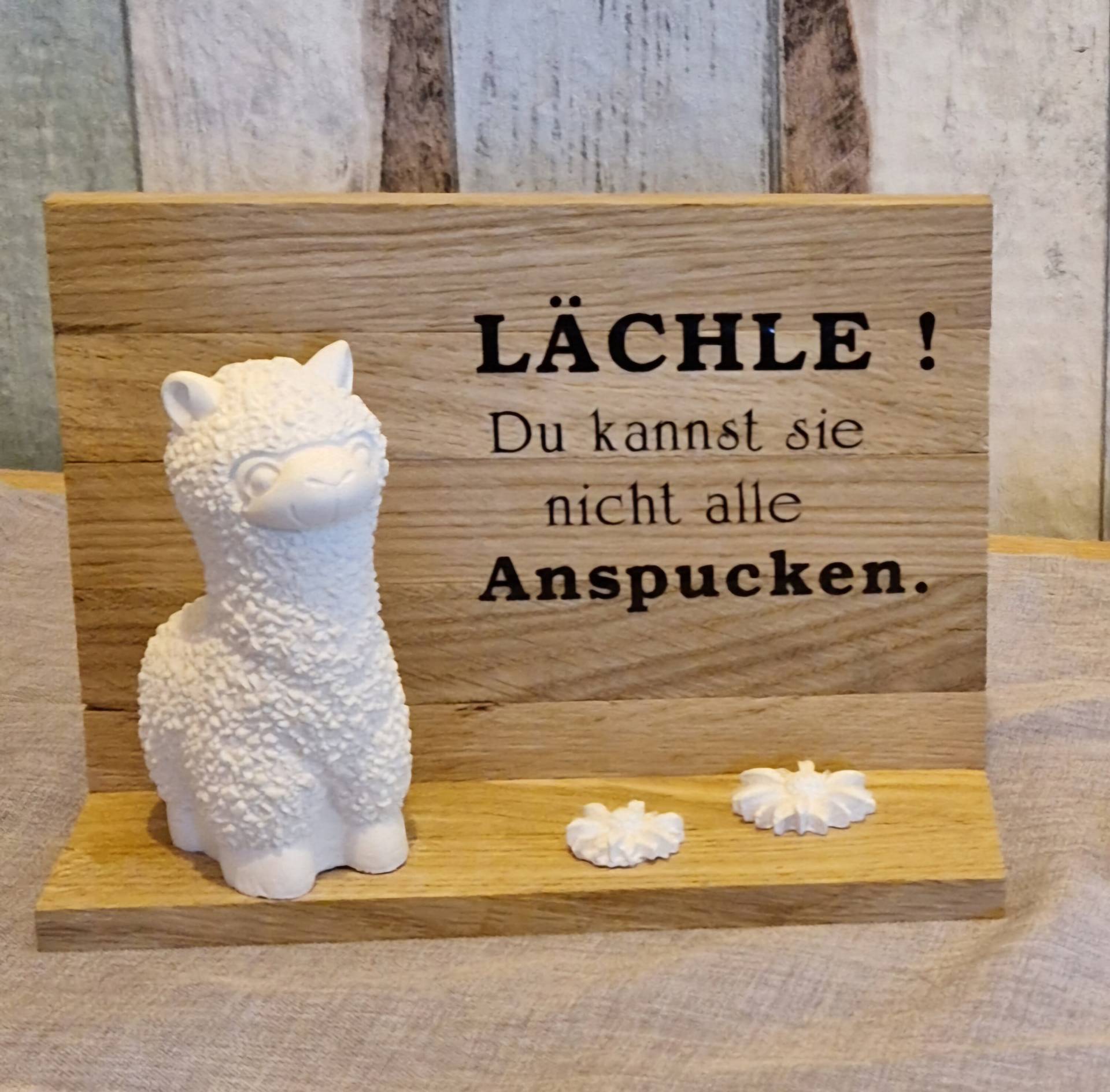 Geschenk, Lama , Alpaka, Tischdekoration, Geburtstag, Geldgeschenk, Büro von Etsy - HarmonyHandmadeWaren