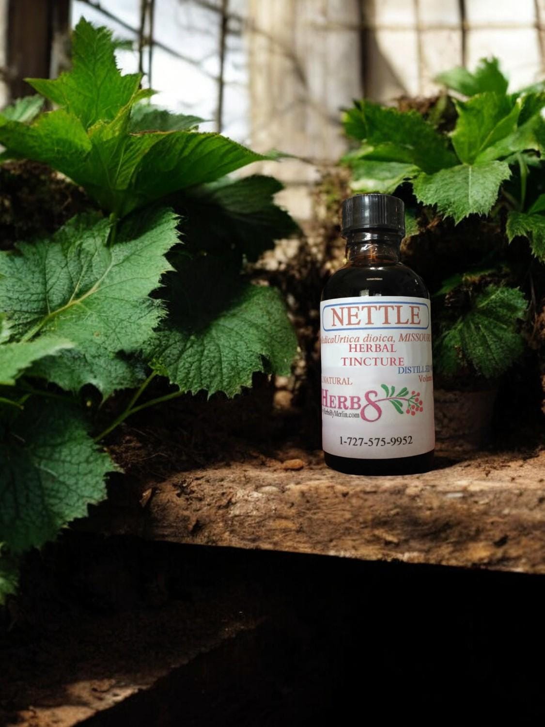 Brennnesselblätter Tinktur, Handgemacht in Kleinserien von Etsy - HerbsByMerlin