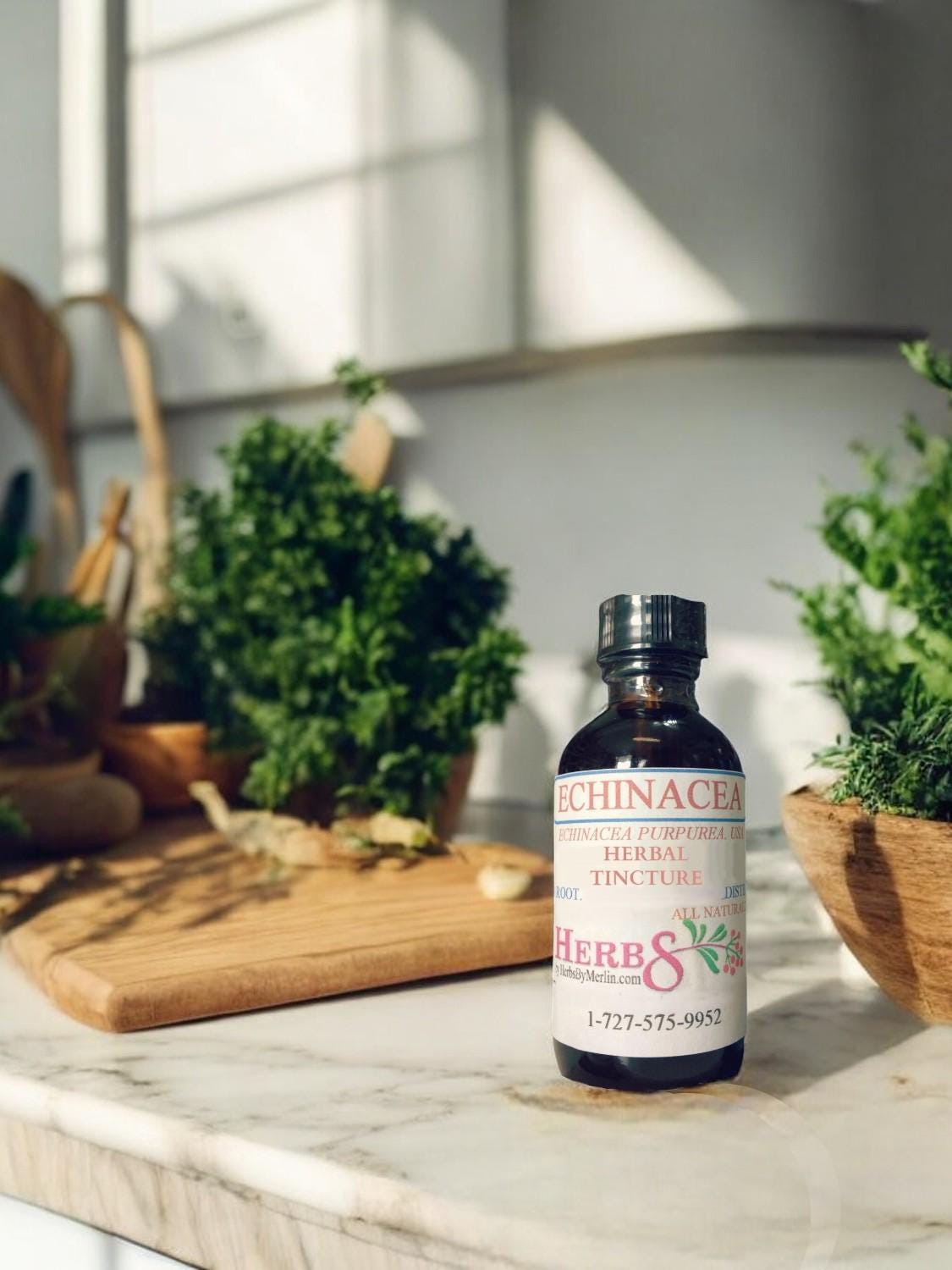 Echinacea Tinktur, Handgemacht in Kleinserien von Etsy - HerbsByMerlin