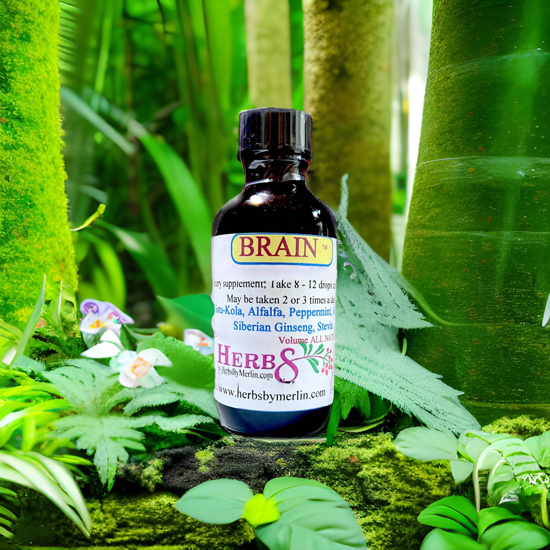 Gehirn-Unterstützende Tinktur, Handgemacht in Kleinen Chargen Gehirn-Unterstützende Tinktur, Handgemacht in Kleinen Chargen von Etsy - HerbsByMerlin