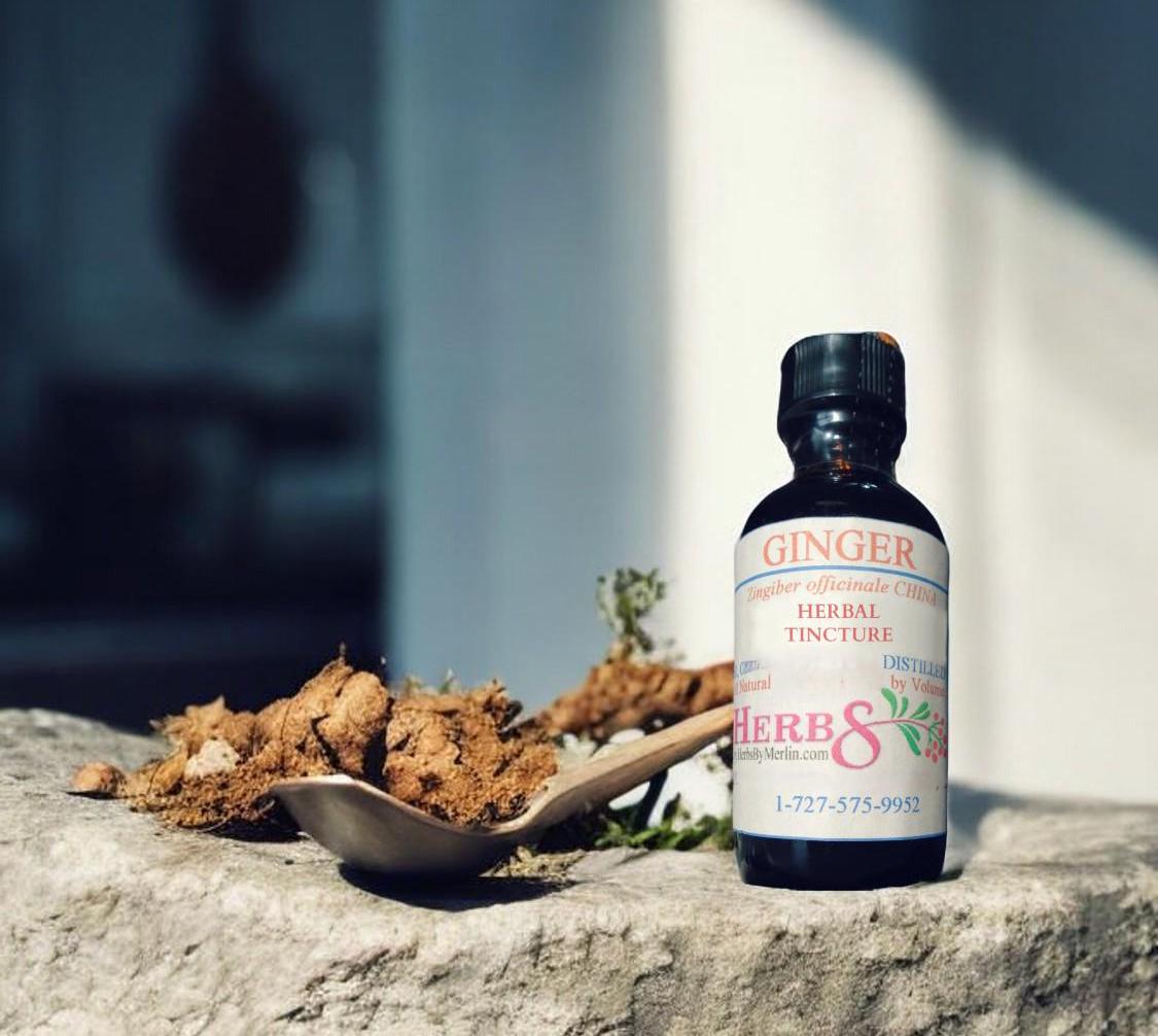 Ginger Tinktur, Handgemacht in Kleinserien von Etsy - HerbsByMerlin