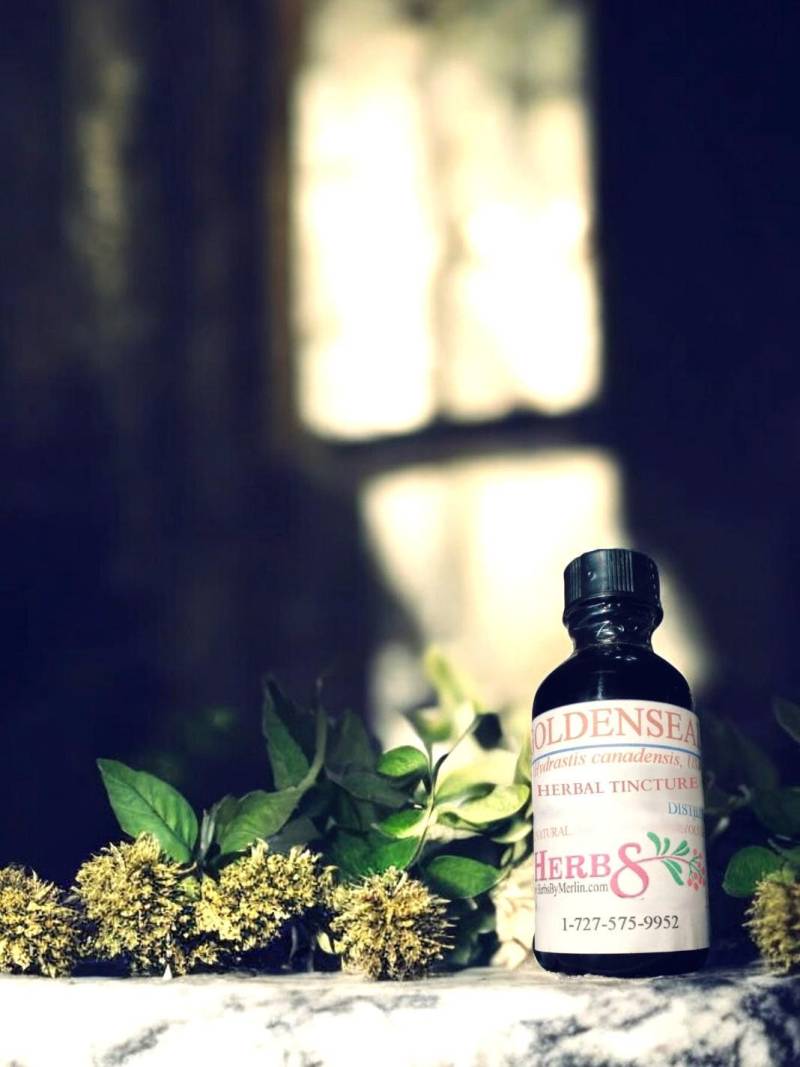 Golden-Seal Tinktur, Handgemacht in Kleinen Chargen Golden-Seal Tinktur, Handgemacht in Kleinen Chargen von Etsy - HerbsByMerlin