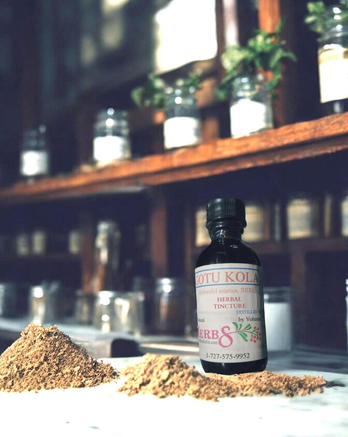 Gotu Kola Tinktur, Hergestellt in Kleinen Chargen von Etsy - HerbsByMerlin