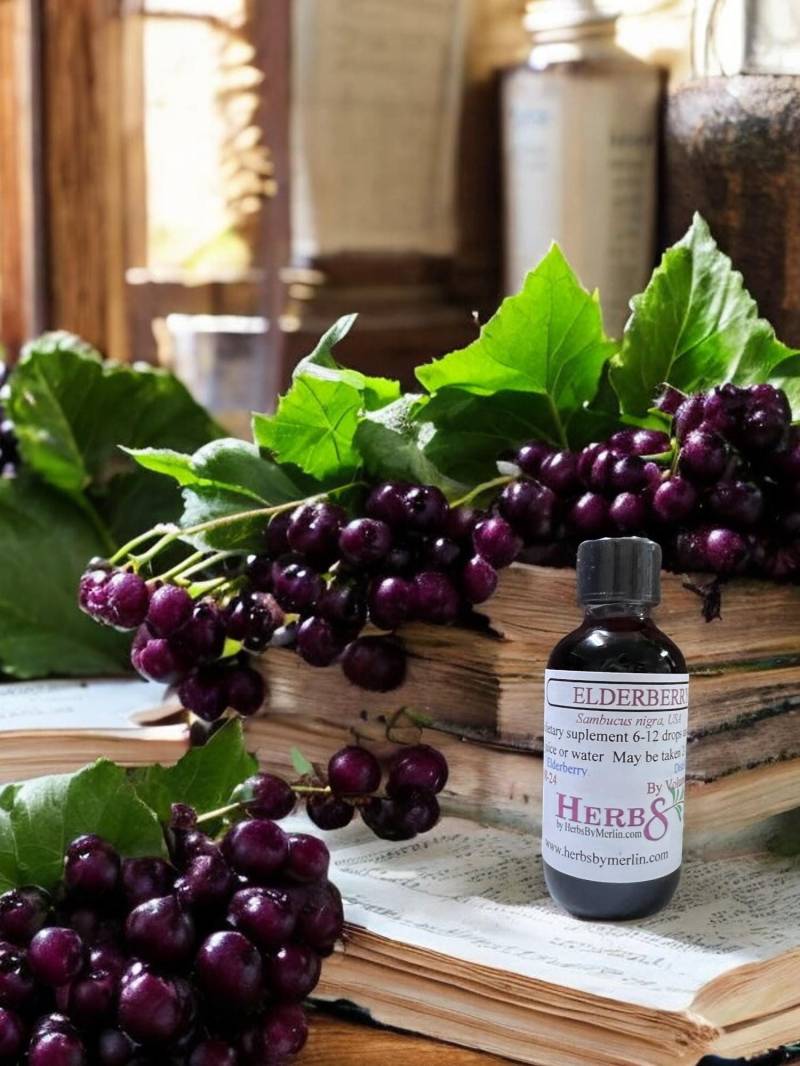 Holunderbeerentinktur, Hergestellt in Kleinen Chargen von Etsy - HerbsByMerlin