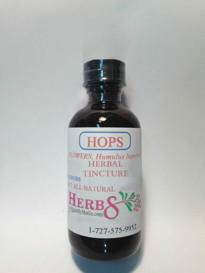 Hopfen Tinktur Handgemacht in Kleinen Chargen Hopfen Tinktur Handgemacht in Kleinen Chargen von Etsy - HerbsByMerlin
