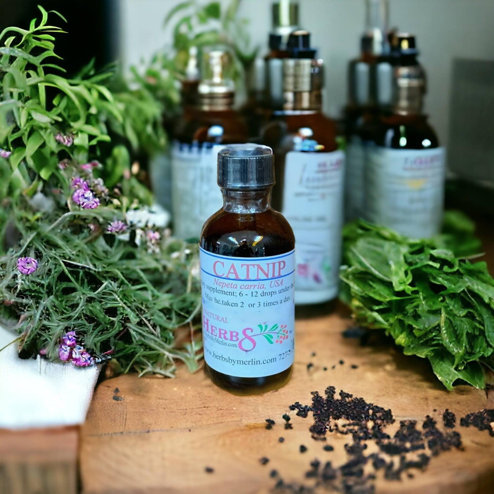 Katzenminze Tinktur, Hergestellt in Kleinen Mengen von Etsy - HerbsByMerlin