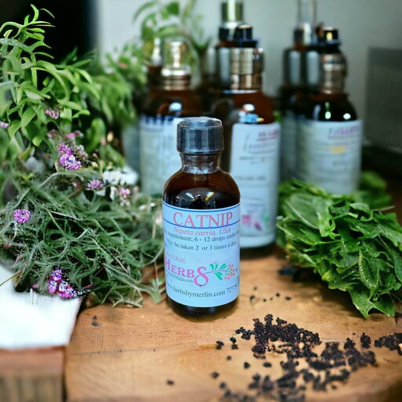 Katzenminze Tinktur, Hergestellt in Kleinen Mengen von Etsy - HerbsByMerlin
