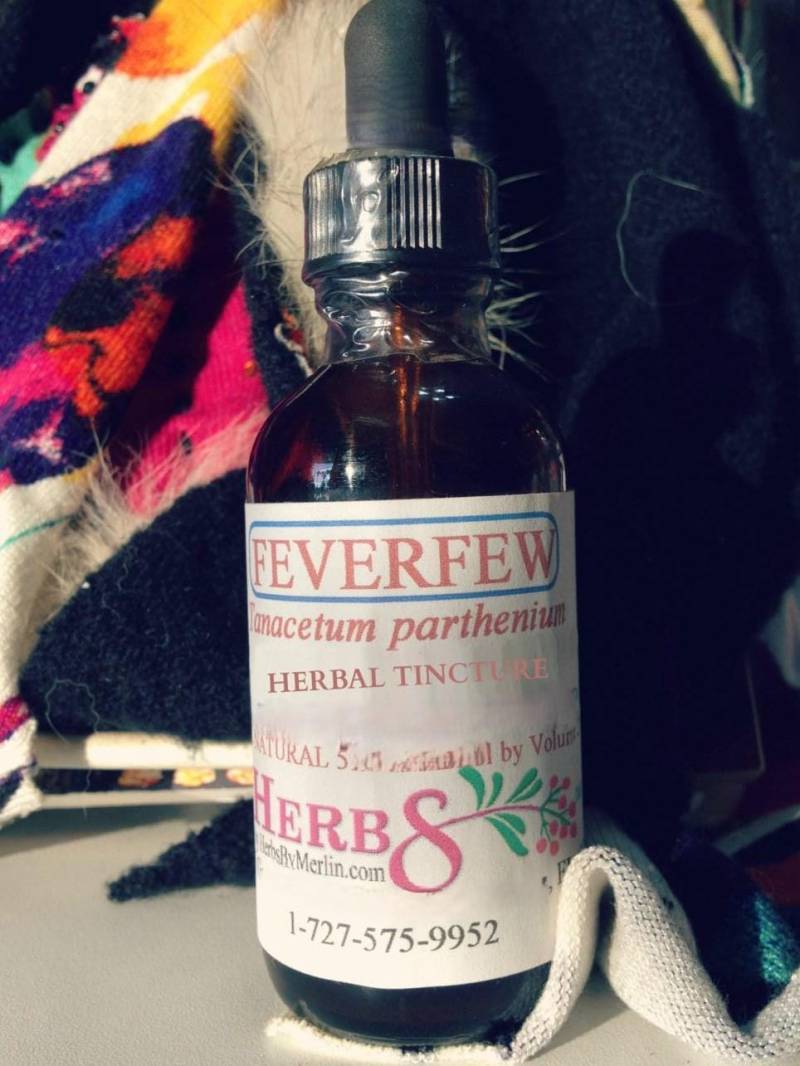 Mutterkraut Tinktur, Handgemacht in Kleinserien von Etsy - HerbsByMerlin