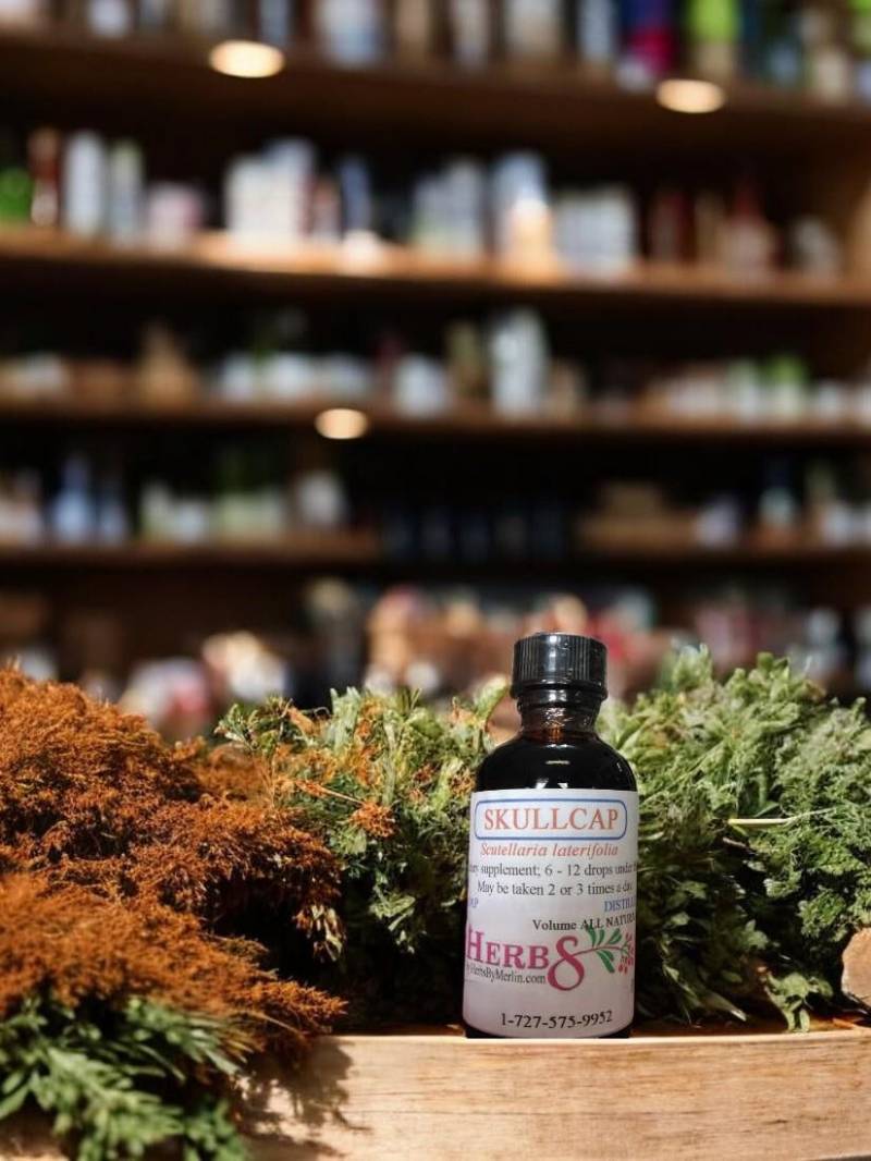 Skullcap Tinktur, Hergestellt in Kleinen Mengen Skullcap Tinktur, Hergestellt in Kleinen Mengen von Etsy - HerbsByMerlin