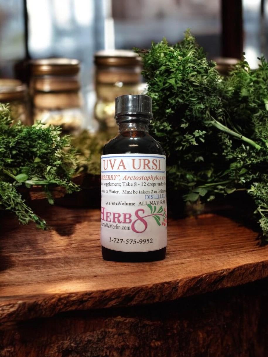 Uva Ursi Tincuture Handgemacht in Kleinserien von Etsy - HerbsByMerlin