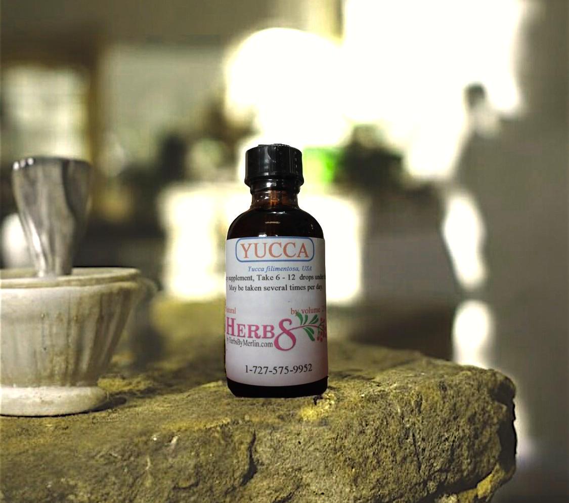 Yucca Tinktur, Handgemacht in Kleinserien Yucca Tinktur, Handgemacht in Kleinserien von Etsy - HerbsByMerlin