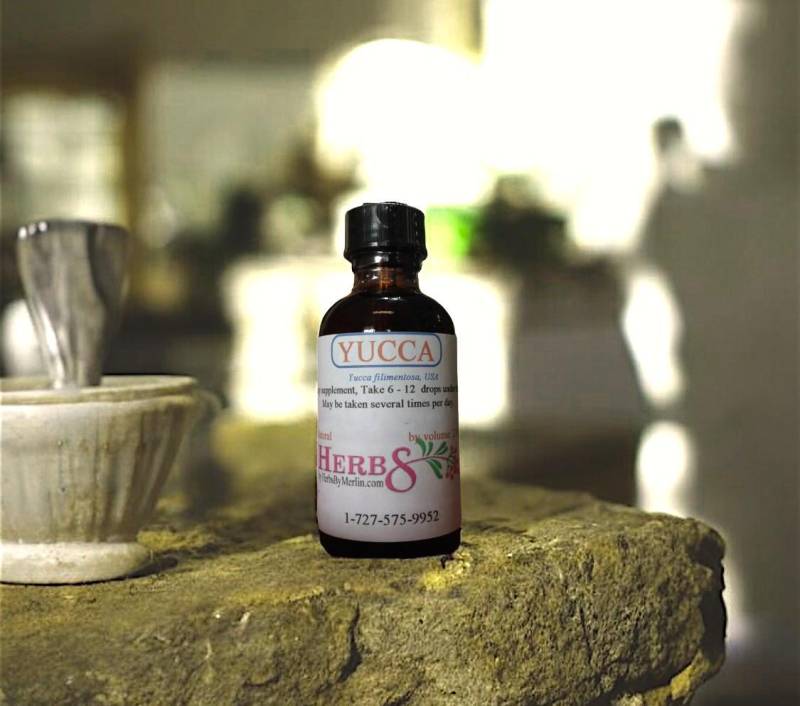 Yucca Tinktur, Handgemacht in Kleinserien Yucca Tinktur, Handgemacht in Kleinserien von Etsy - HerbsByMerlin