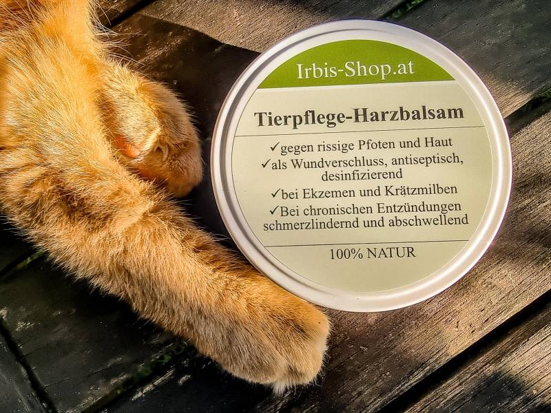Pferdebalsam | Harzbalsam, Pechbalsam von Etsy - IrbisShop