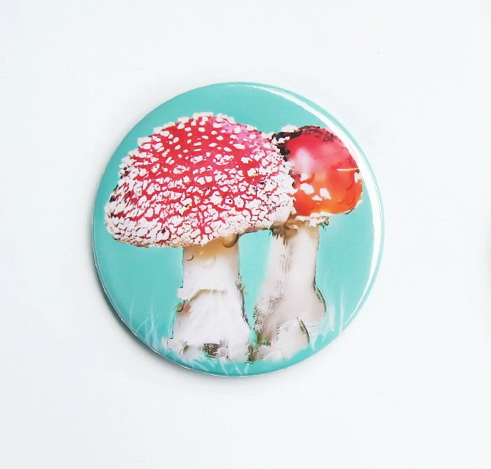Taschenspiegel , Fliegenpilz Kosmetikspiegel Spiegelbutton 59mm, Wichtelgeschenk, Handspiegel, Fotommotiv, Gratis Geschenkverpackung Taschenspiegel , Fliegenpilz Kosmetikspiegel Spiegelbutton 59mm, Wichtelgeschenk, Handspiegel, Fotommotiv, Gratis Geschenkverpackung von Etsy - JOJAsWELT