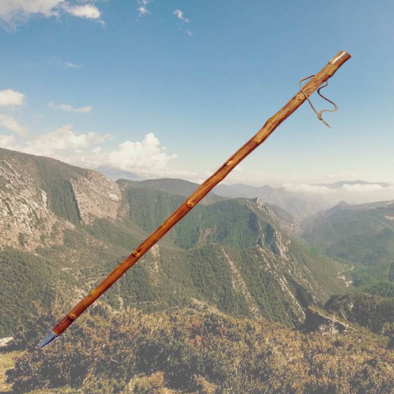 Wanderstock Holz Maschierer Hellbraun, Optional Mit 15 Zeichen Im Preis Enthalten, Ohne Symbolen Und Sternzeichen von Etsy - JagdSchnitzereiPeter