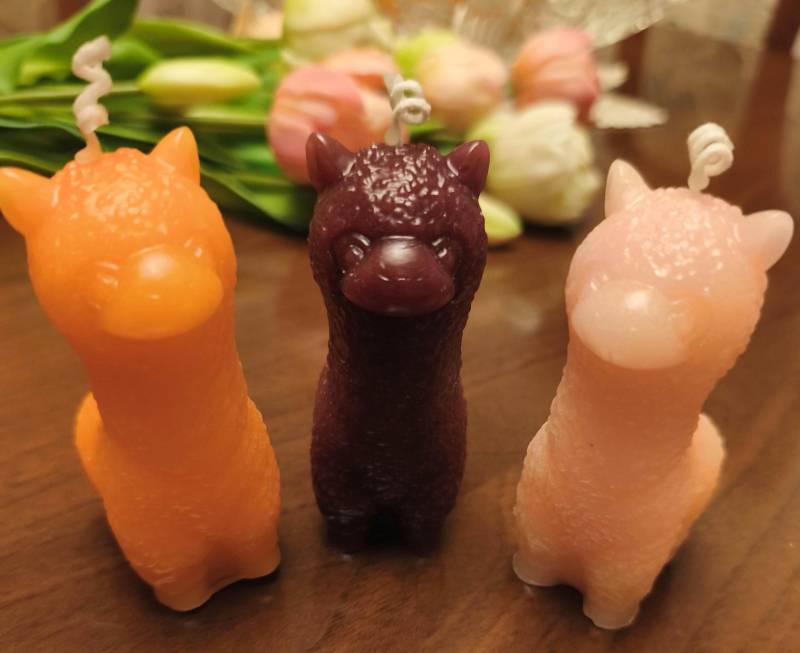 Duftkerze in Alpaka-Design. Osterdekoration. Aromakerzen. Aromatherapie. Tischdekoration Duftkerze in Alpaka-Design. Osterdekoration. Aromakerzen. Aromatherapie. Tischdekoration von Etsy - Knotenfaszination