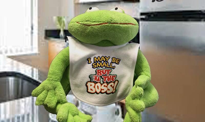 Baby Lätzchen, L'il Angel, Benutzerdefinierte Personalisierte Lätzchen von Etsy - KokoMugsandMore