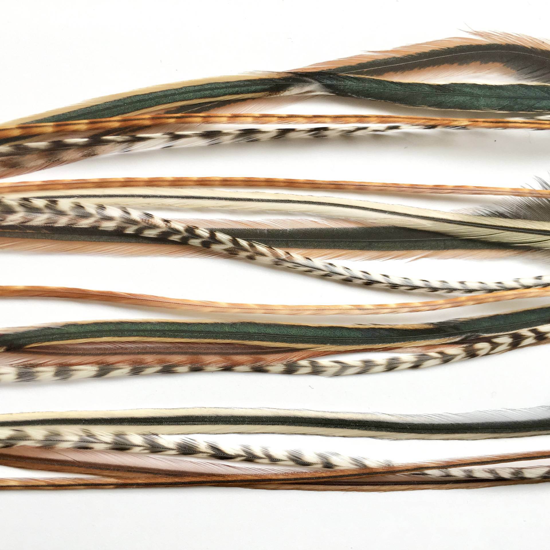 Natürliche Federn Haarverlängerungskits Schillernde | 4 Stück Natürliche Federn Haarverlängerungskits Schillernde | 4 Stück von Etsy - KstarFeathers