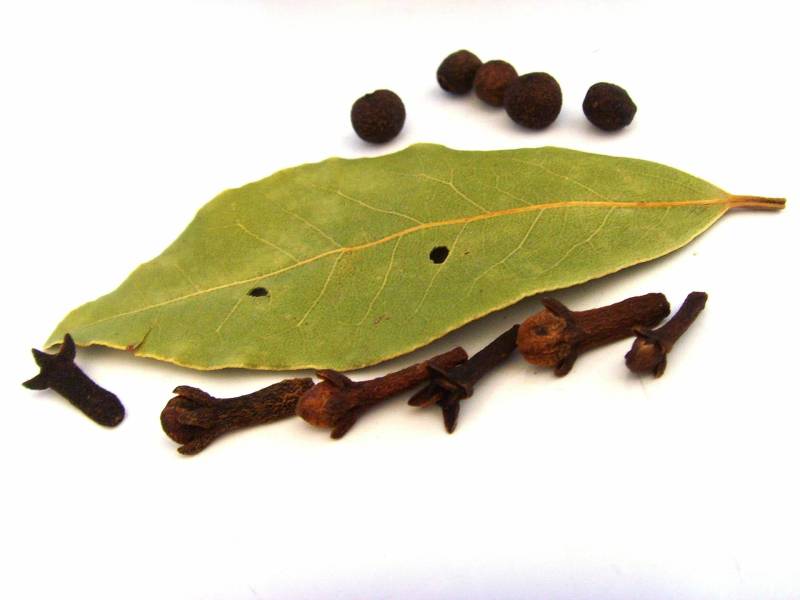Noble Laurel Hydrolat, Laurus Nobilis, Blütenwasser, Mundwasser, Zahnschmerzen, After Shave, Frankreich, 100 % Rein von Etsy - LHEssentielleAroma