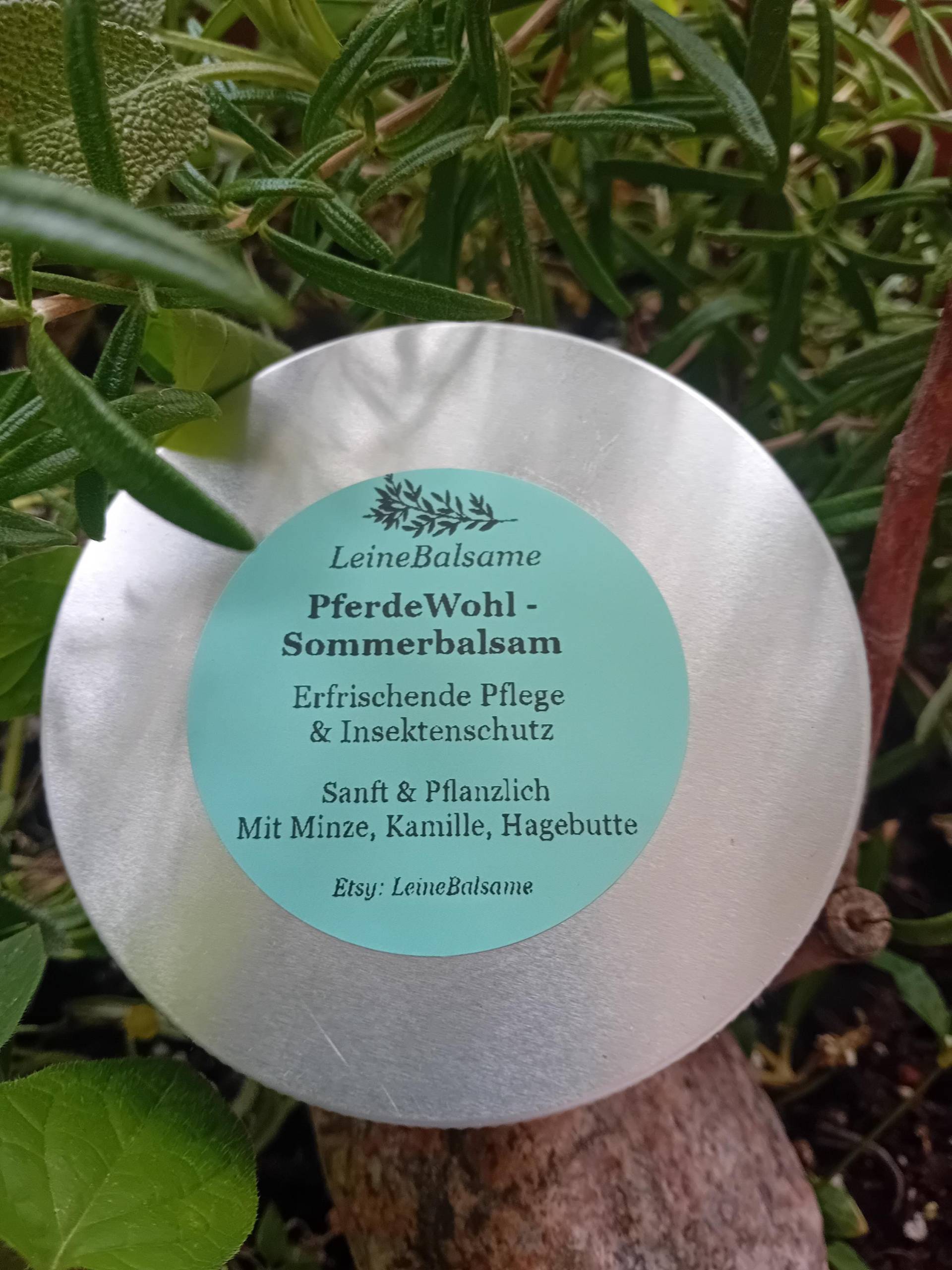 Pferdewohl Sommerruhe - Ideal Zur Pflege in Der Warmen Jahreszeit von Etsy - LeineBalsame