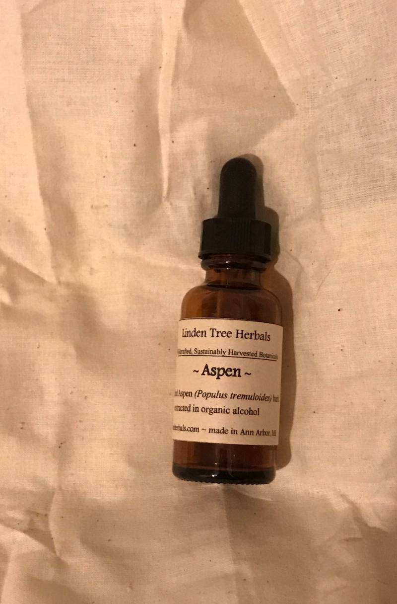 Espenrinde Kräutertinktur | Populus Tremuloides // Natürlich Gesammelter, Nachhaltig Gesammelter Pflanzenextrakt von Etsy - LindenTreeHerbals