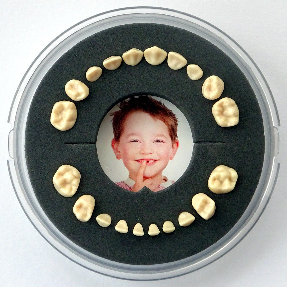 Milchzahndose >Firsty Round< | Schwarz, Jungen, Deutsch, Inklusive Logbüchlein Und Kühlschrankmagnet von Etsy - Lumage