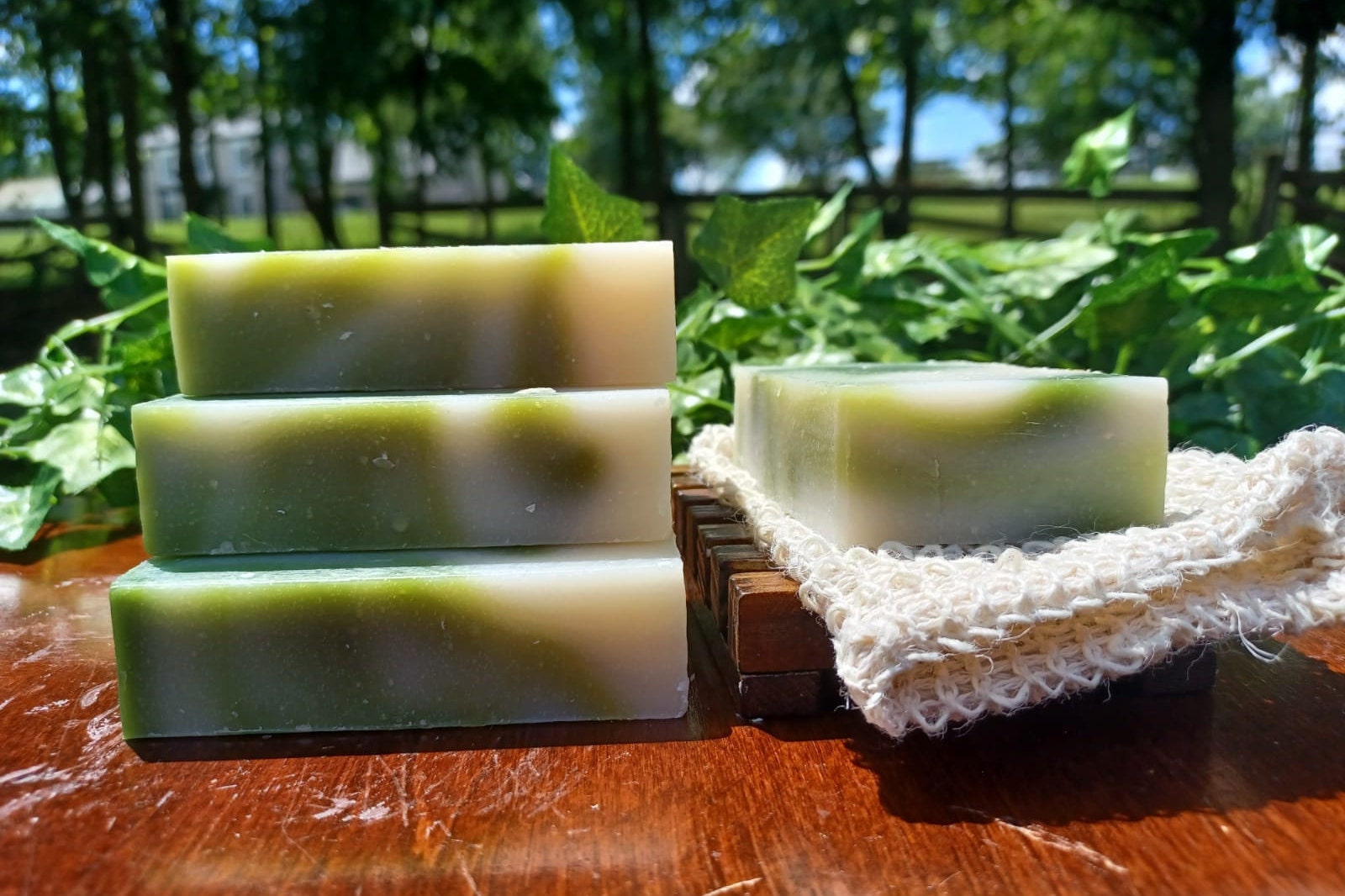 Feuchtigkeitsspende Apotheker Seife Bar/Natur & Handgefertigt Madi Weiß Tee Minze Feuchtigkeitsspende Apotheker Seife Bar/Natur & Handgefertigt Madi Weiß Tee Minze von Etsy - MadisSoapandSuch