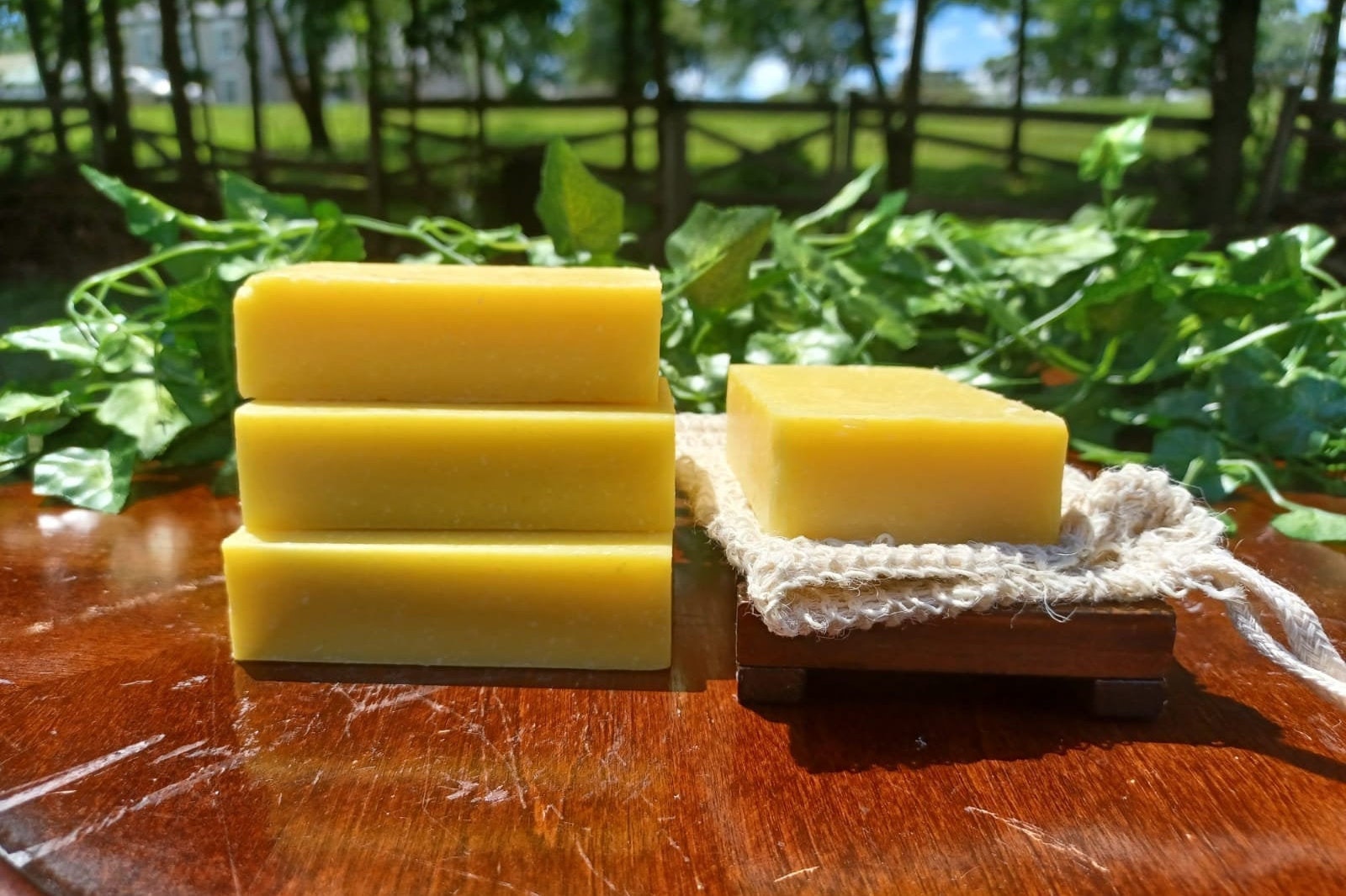 Reinigung & Peeling Bar Seife/Ethisch Und Natürlich Gemacht Madi Zitrone Zest Scrub von Etsy - MadisSoapandSuch