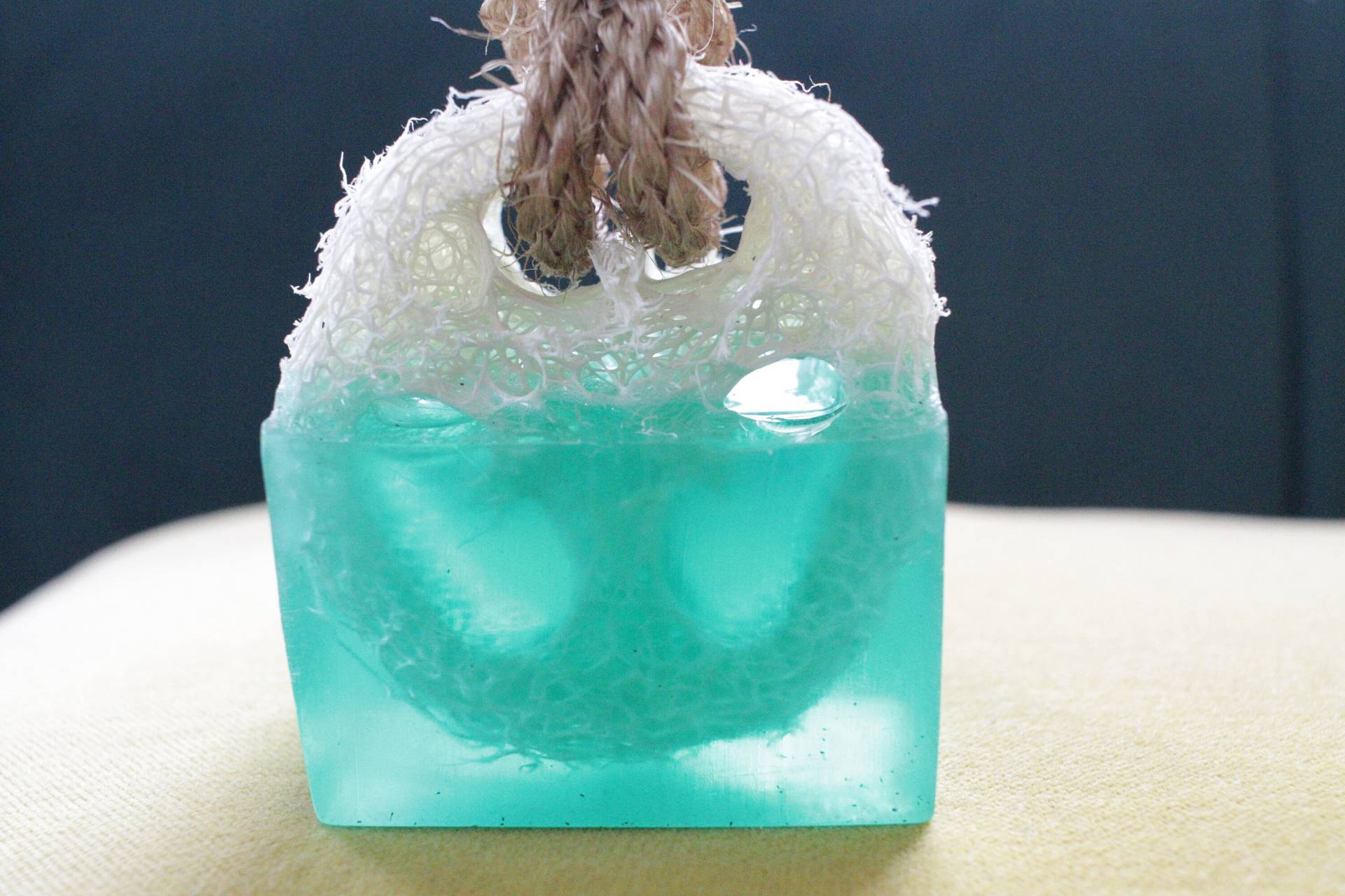 Eukalyptus Aloe Vera Glycerin Seife Mit Luffa Schwamm Eucalyptus Soap With Loofah Sponge von Etsy - MiaCaroDesign