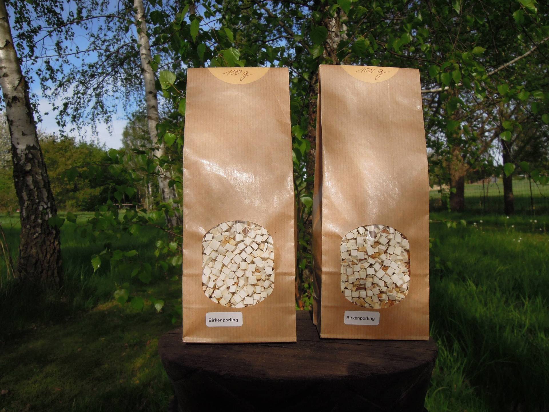 200 G Birkenporling Tee Wildsammlung Naturprodukt Bio Baumpilz Ohne Zusatzstoffe Magentee Verdauungstee Natürlicher von Etsy - Miloriblau