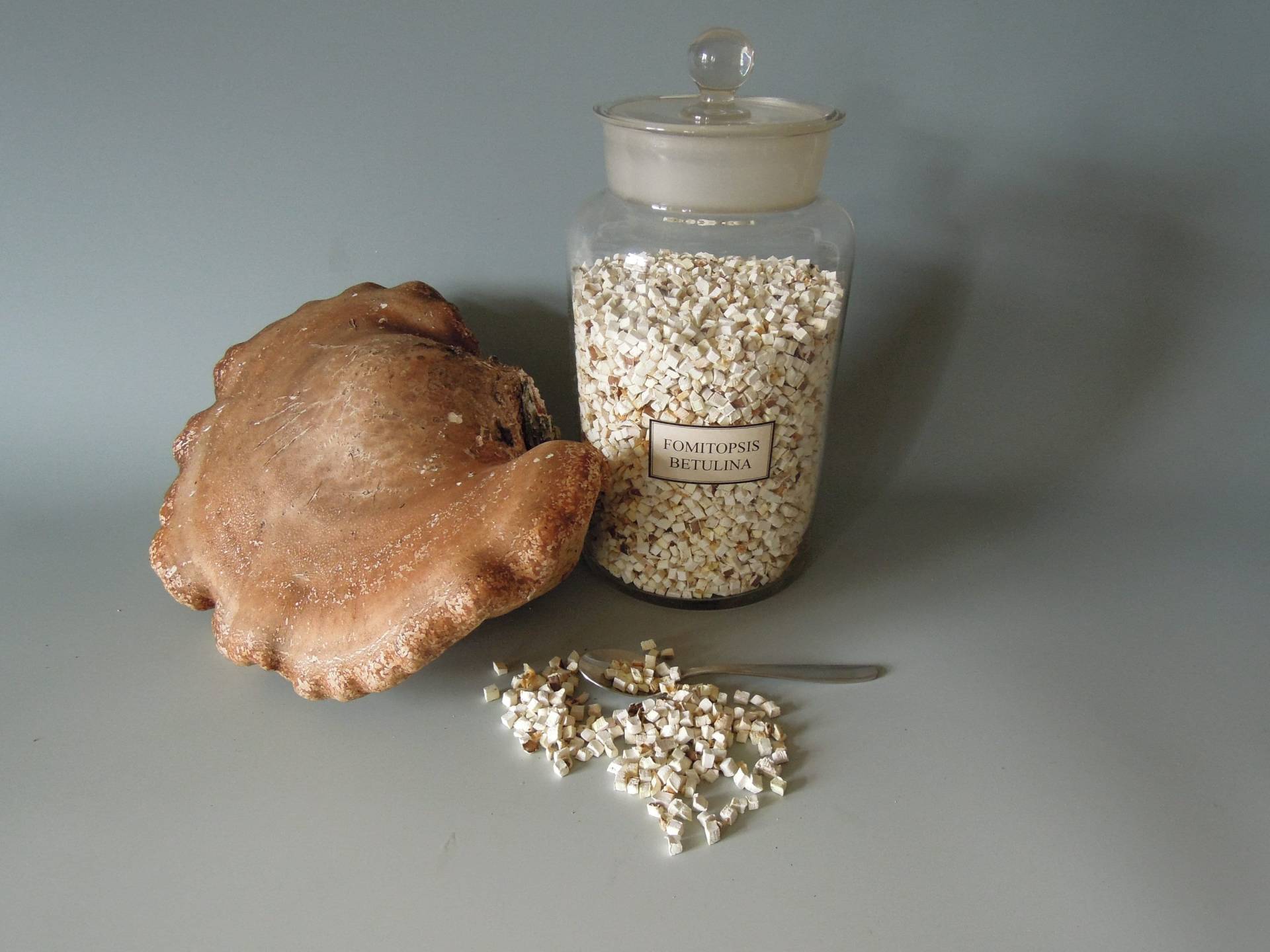 Birkenporling 100 G Tee Fomitopsis Betulina Wildsammlung Naturprodukt Bio Baumpilz Ohne Zusatzstoffe Magentee Verdauungstee Birkenporling 100 G Tee Fomitopsis Betulina Wildsammlung Naturprodukt Bio Baumpilz Ohne Zusatzstoffe Magentee Verdauungstee von Etsy - Miloriblau