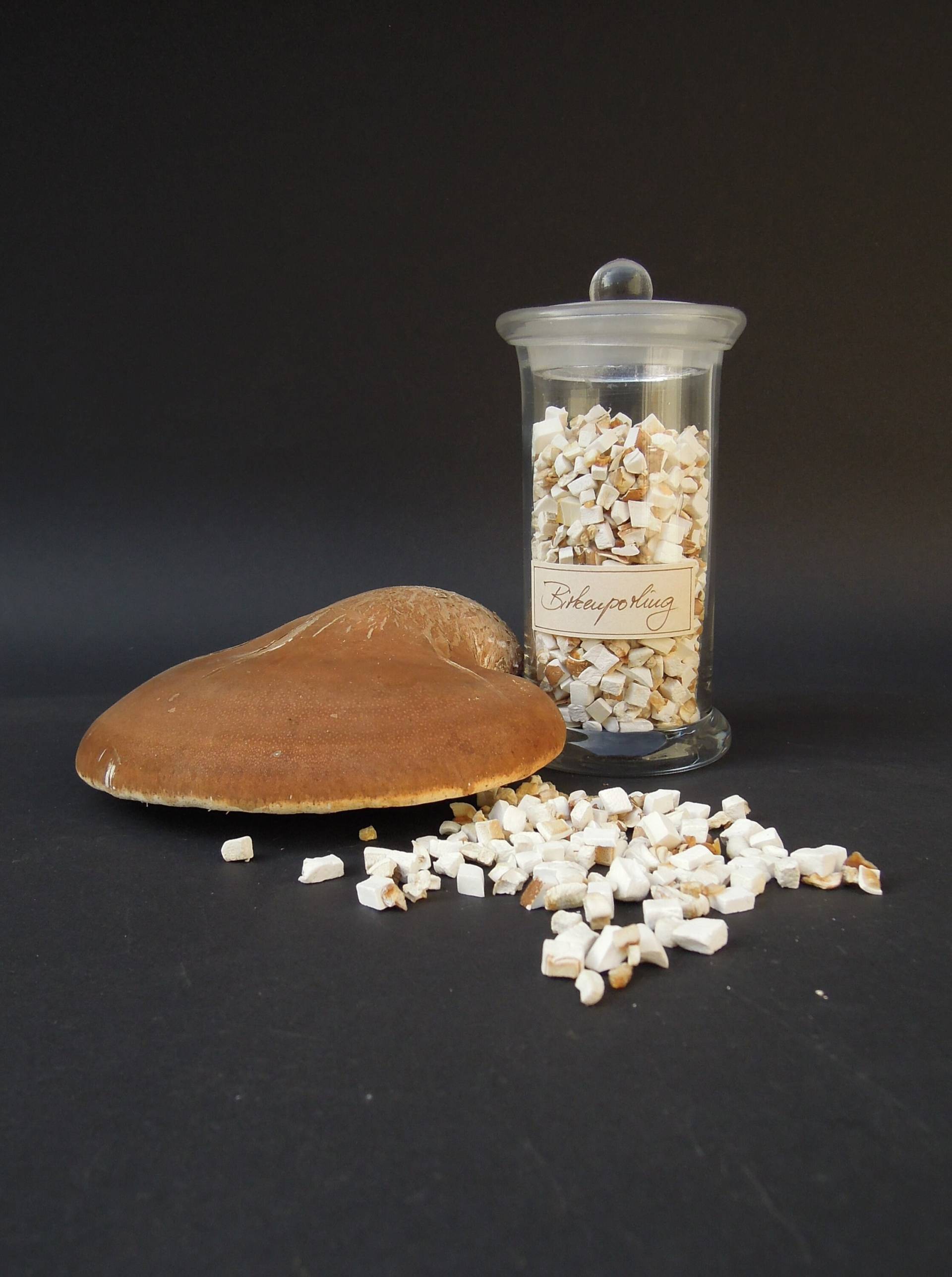 Birkenporling Tee 50G Fomitopsis Betulina Wildsammlung Natur Bio Baumpilz Baumschwamm Magentee Verdauungstee Birkenporling Tee 50G Fomitopsis Betulina Wildsammlung Natur Bio Baumpilz Baumschwamm Magentee Verdauungstee von Etsy - Miloriblau